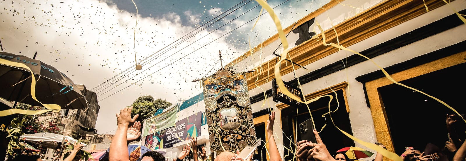 Pitombeira ocupando as ladeiras de Olinda
